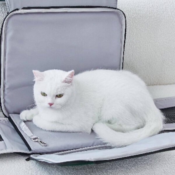 Arkika Whiskers Wonders Cat Backpack - Image 11