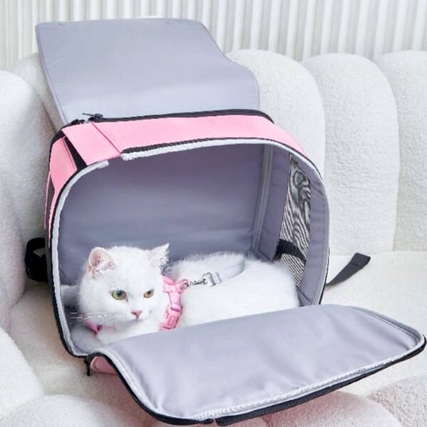 Arkika Whiskers Wonders Cat Backpack - Image 13
