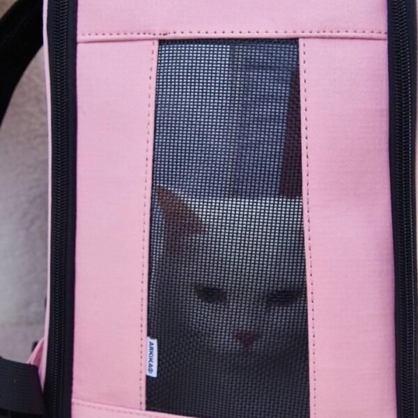 Arkika Whiskers Wonders Cat Backpack - Image 15
