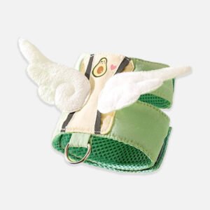 Avocado Cat Harness & Leash Set