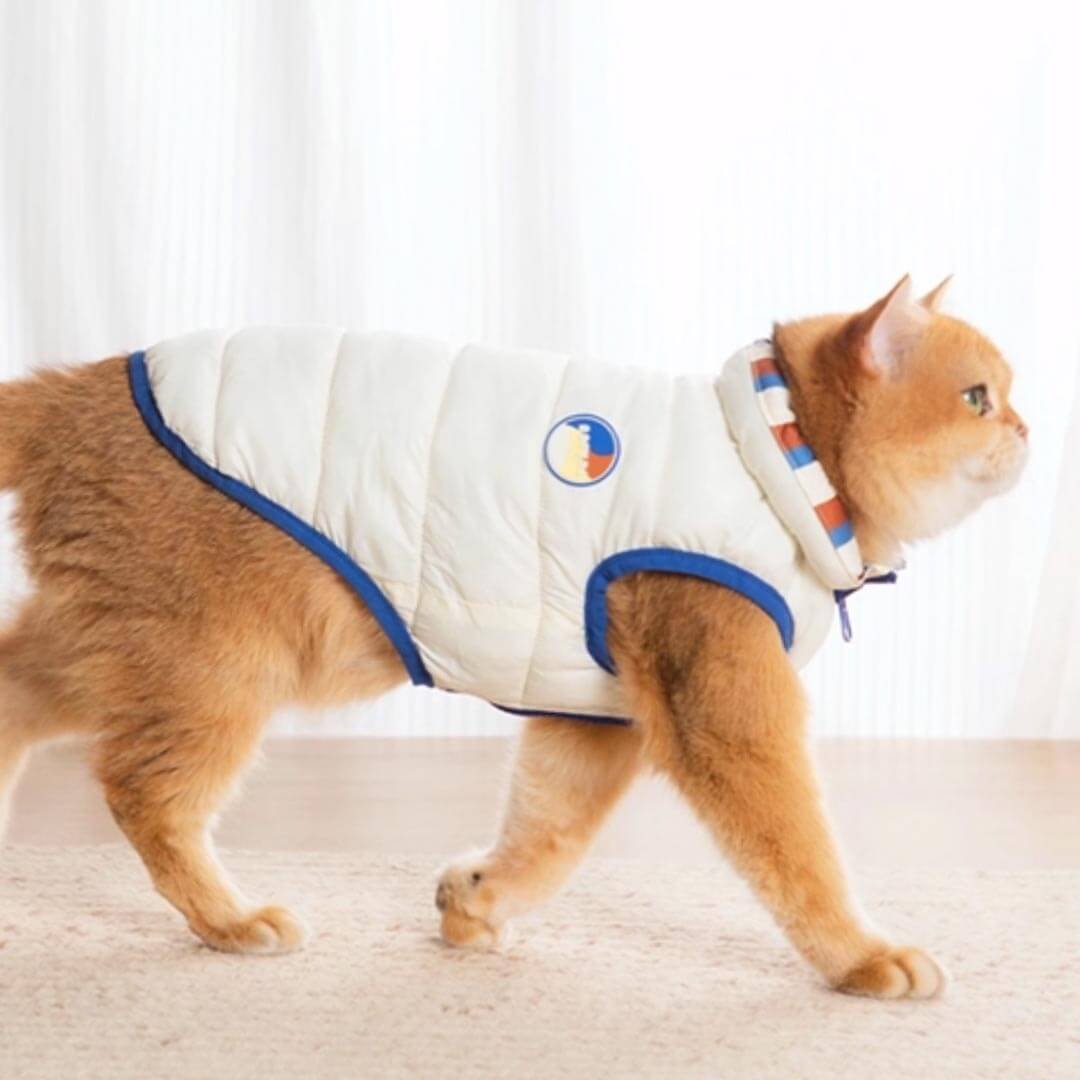 Catsby Reversible Cat Jacket - Image 5