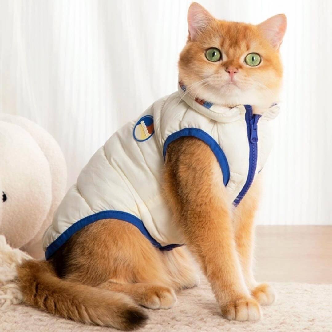 Catsby Reversible Cat Jacket - Image 15