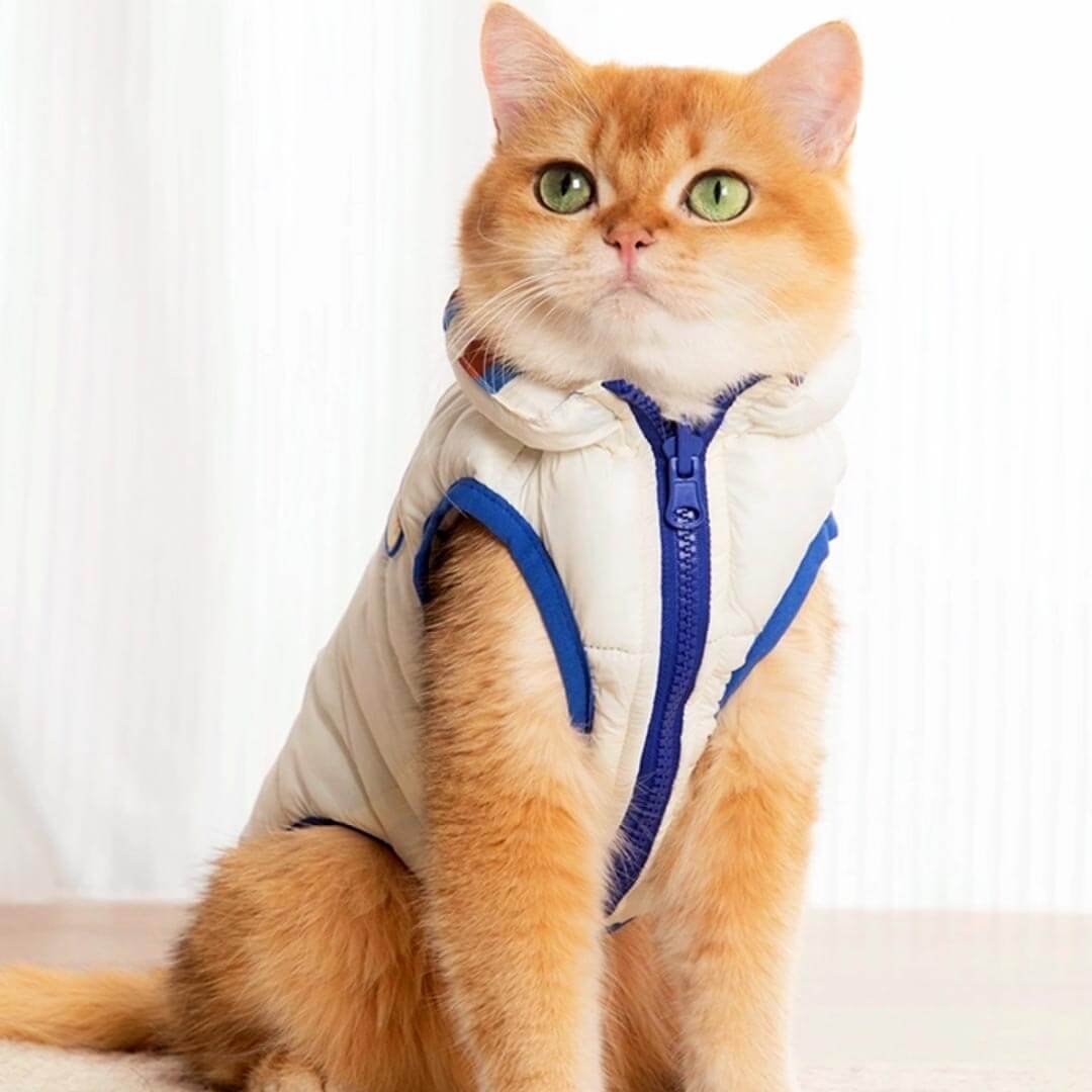 Catsby Reversible Cat Jacket - Image 7