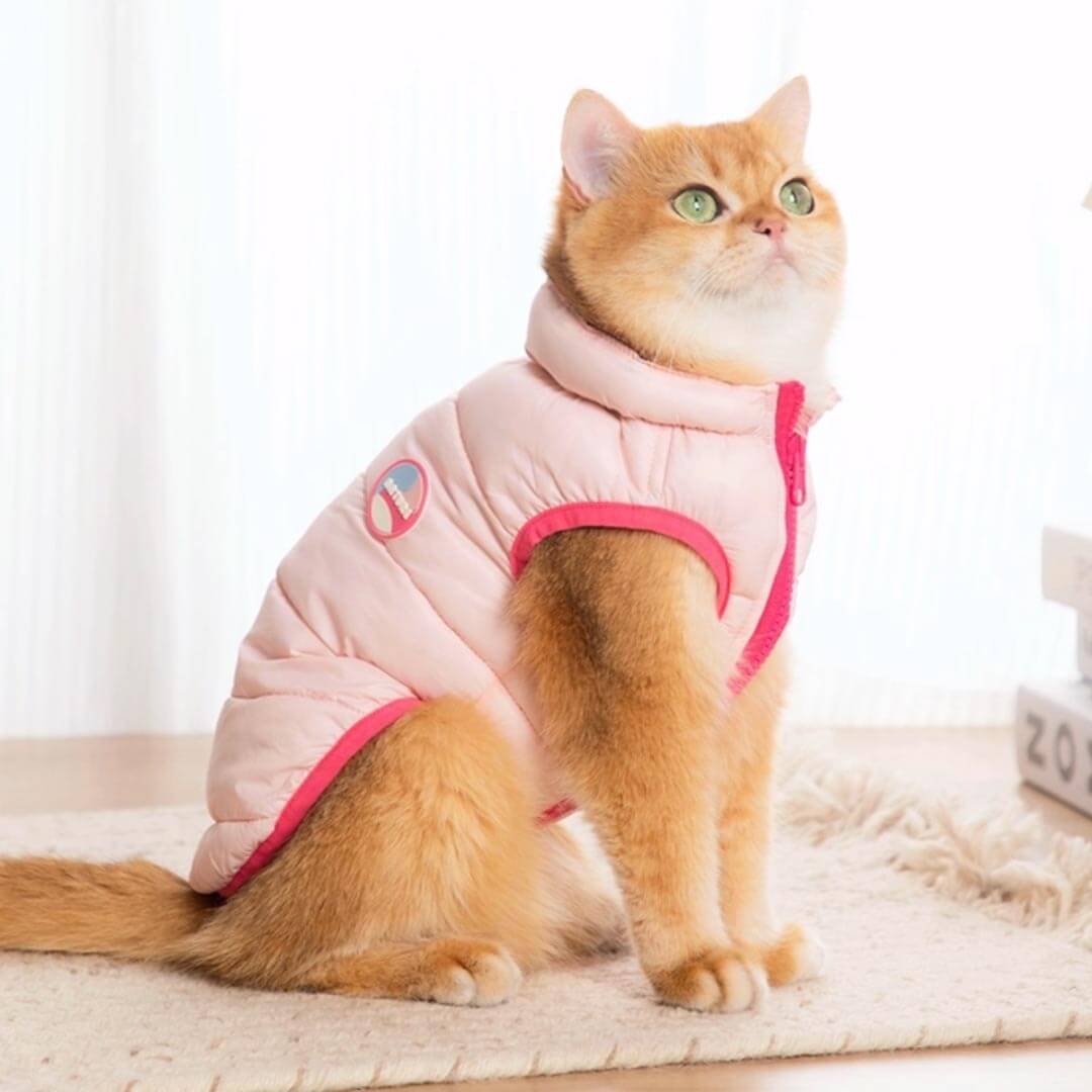 Catsby Reversible Cat Jacket - Image 10