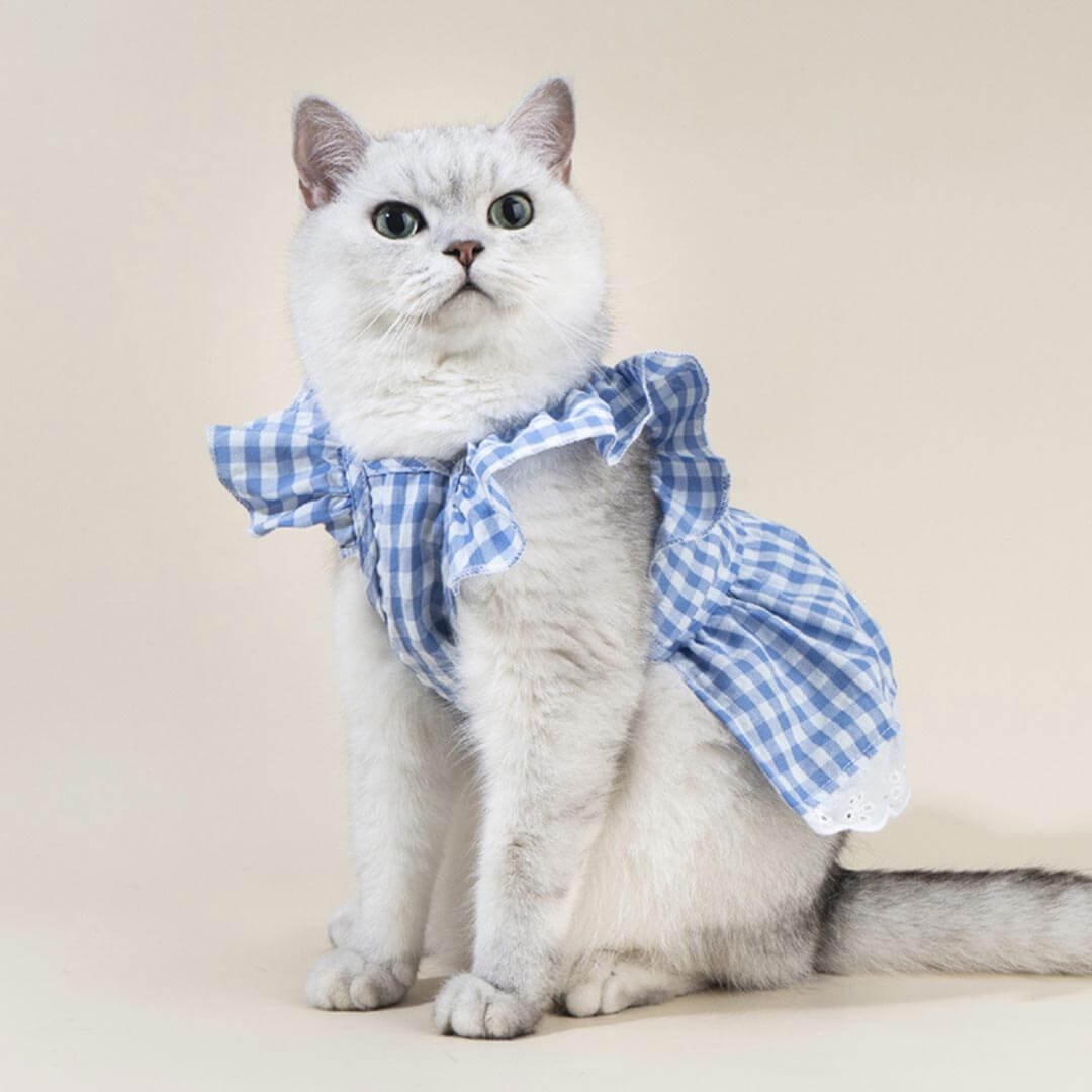 Checkers Cat Dress & Bow Set - Image 4