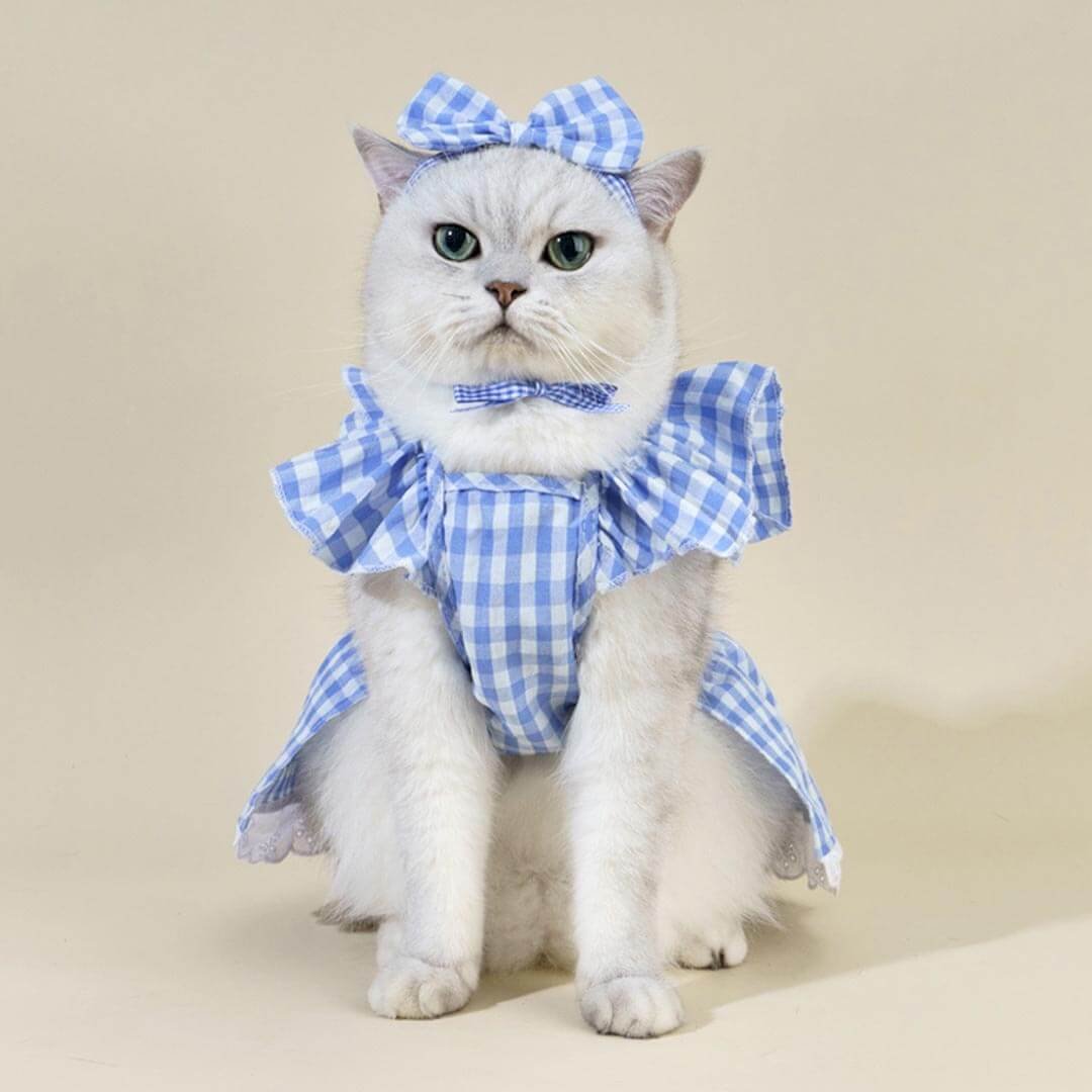 Checkers Cat Dress & Bow Set - Image 6
