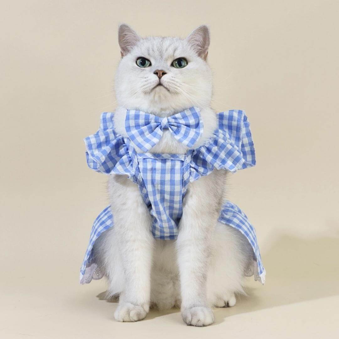 Checkers Cat Dress & Bow Set - Image 2