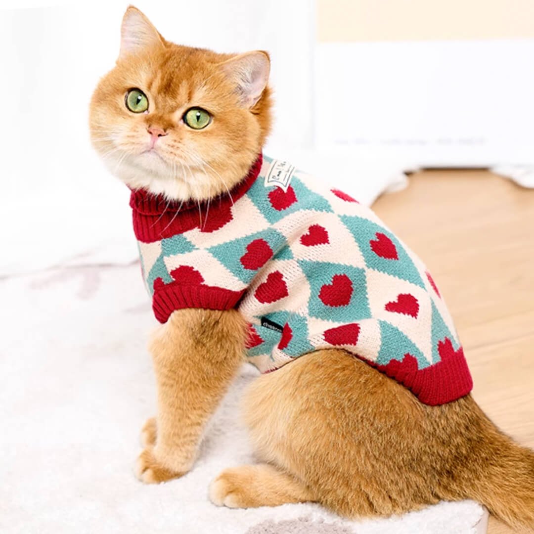 Cupid Cat Sweater - Image 13