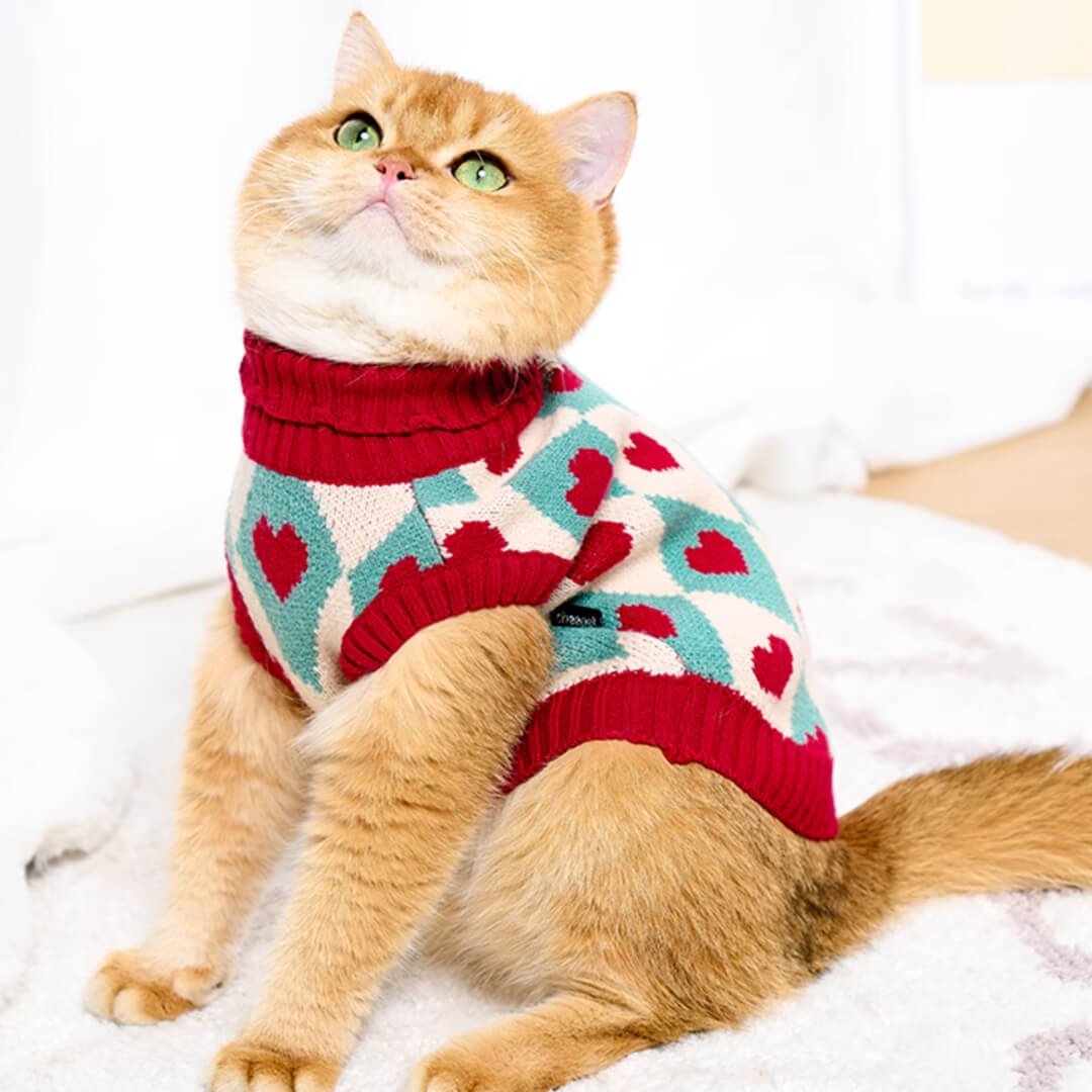 Cupid Cat Sweater - Image 7