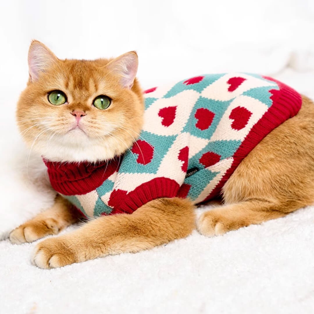 Cupid Cat Sweater - Image 4