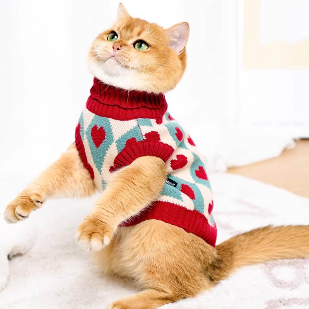 Cupid Cat Sweater - Image 9