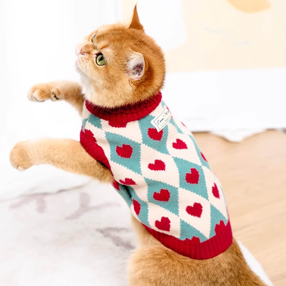 Cupid Cat Sweater - Image 10