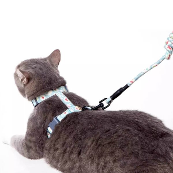Daisy Cat Harness & Leash Set - Image 4