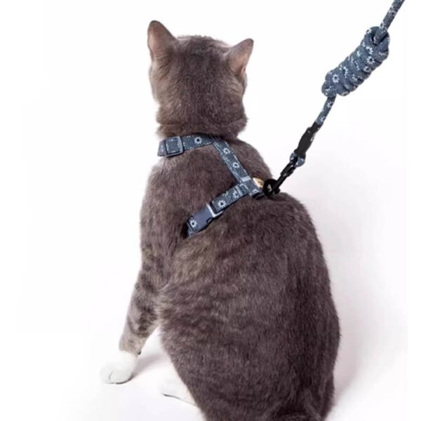 Daisy Cat Harness & Leash Set - Image 5