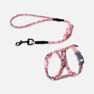 Daisy Cat Harness & Leash Set