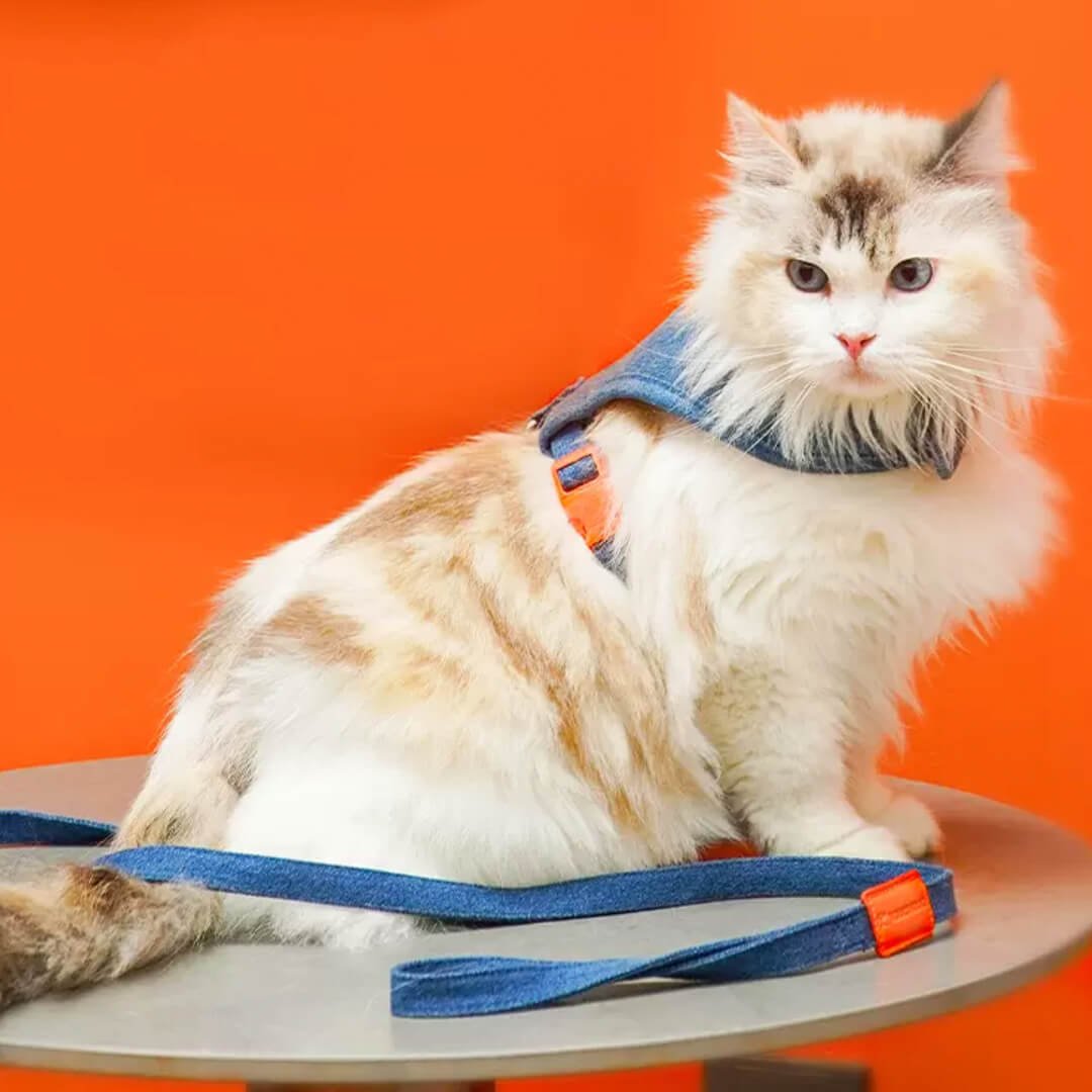 TouchCat Indigo Cat Harness & Leash Set - Image 9