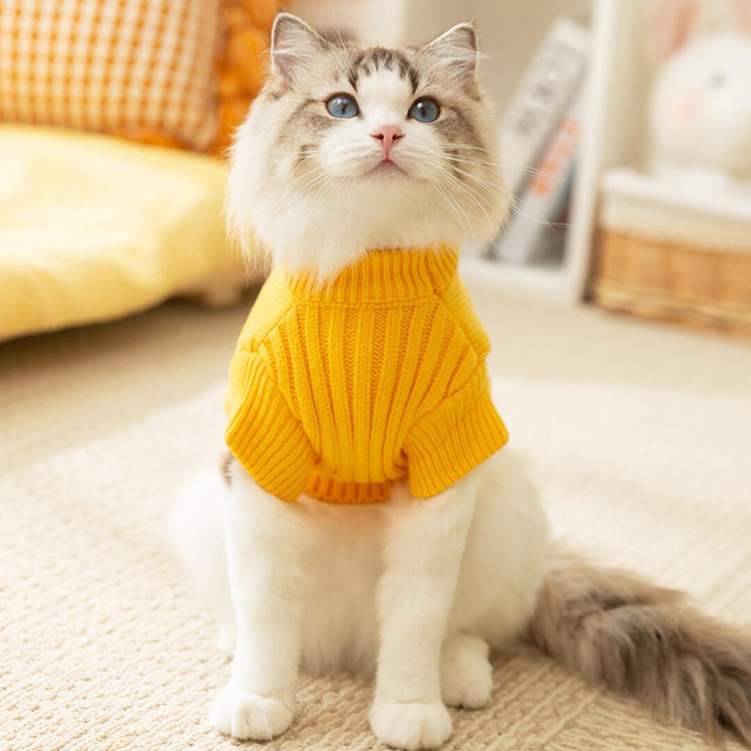 Dino Cat Sweater - Image 5