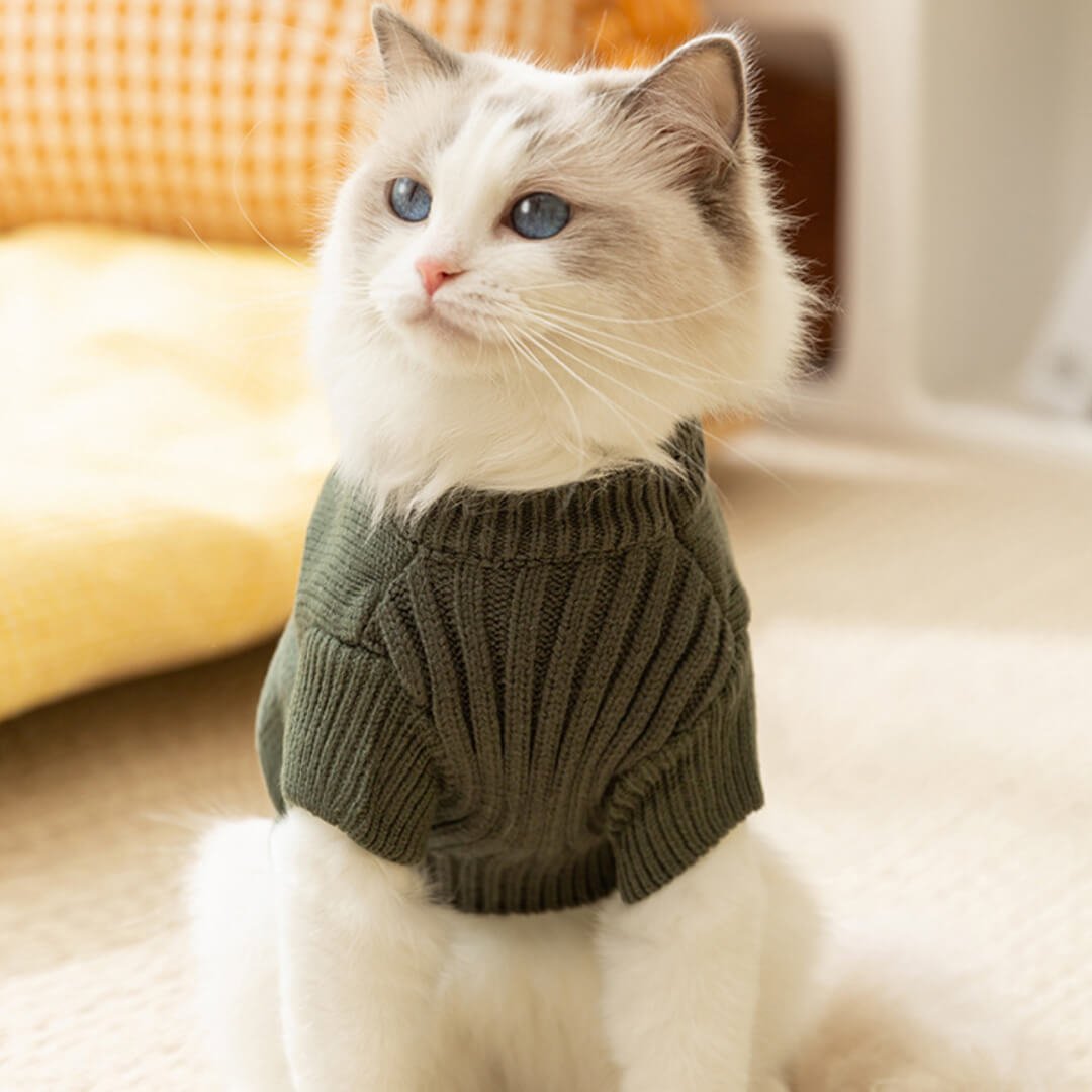 Dino Cat Sweater - Image 6