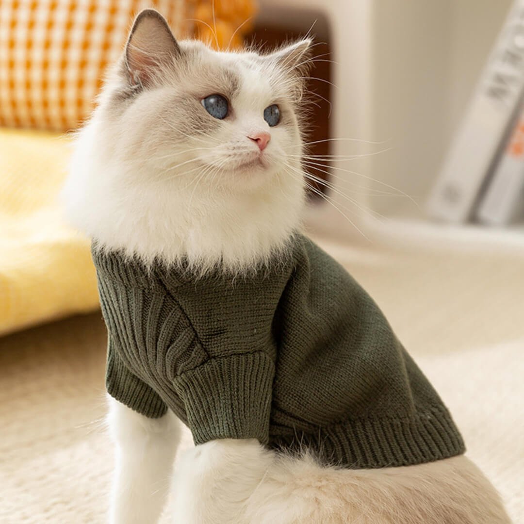 Dino Cat Sweater - Image 7