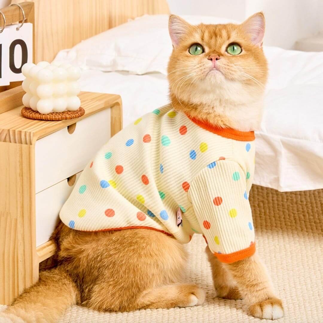 Dotty Cat T-Shirt - Image 3