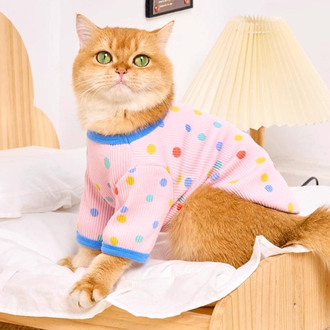 Dotty Cat T-Shirt - Image 17