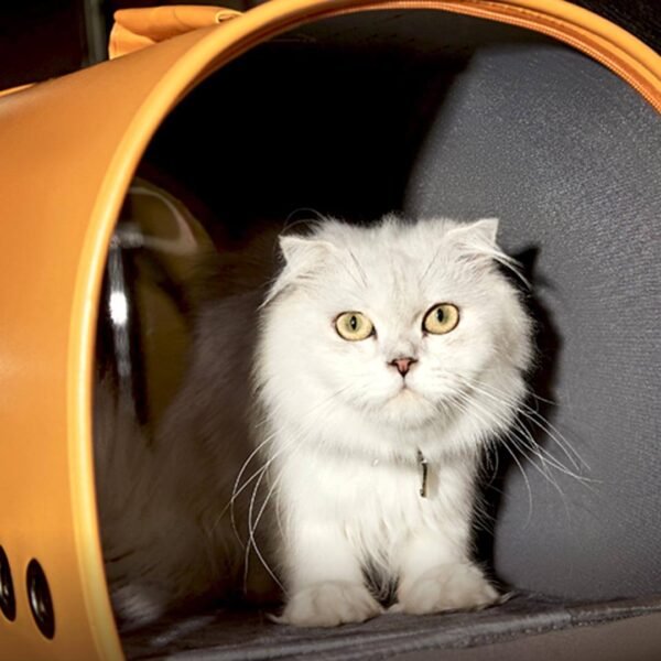 Fancy Poupée Cat Carrier - Image 5