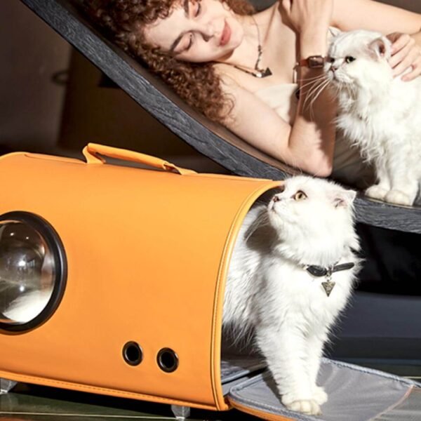 Fancy Poupée Cat Carrier - Image 4