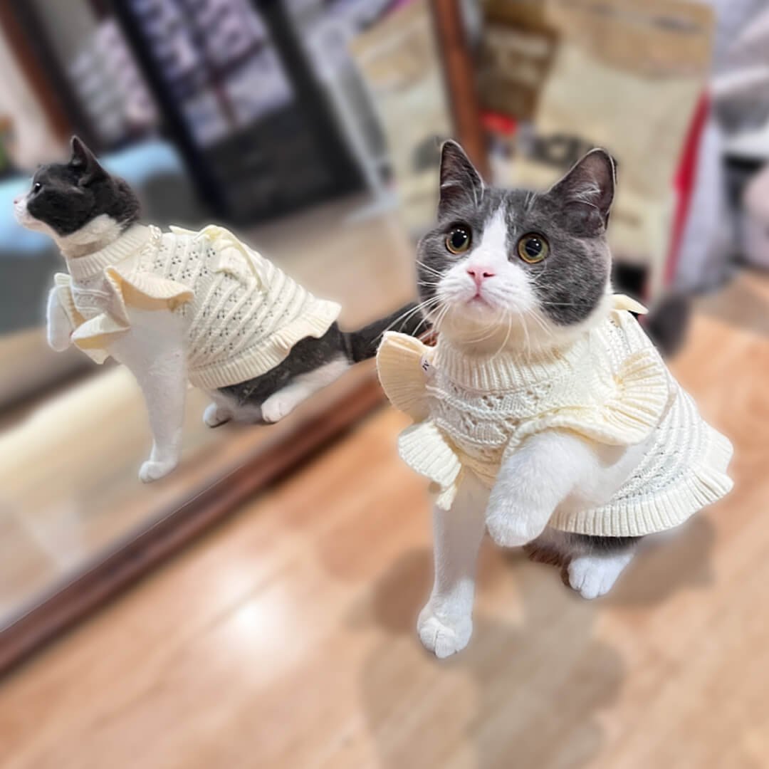 Fleur Cat Dress - Image 3