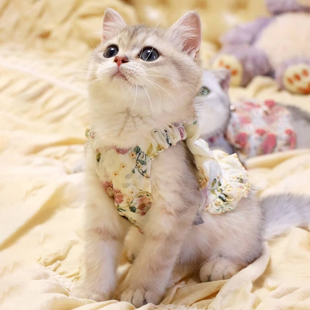 Flora Cat Dress - Image 6