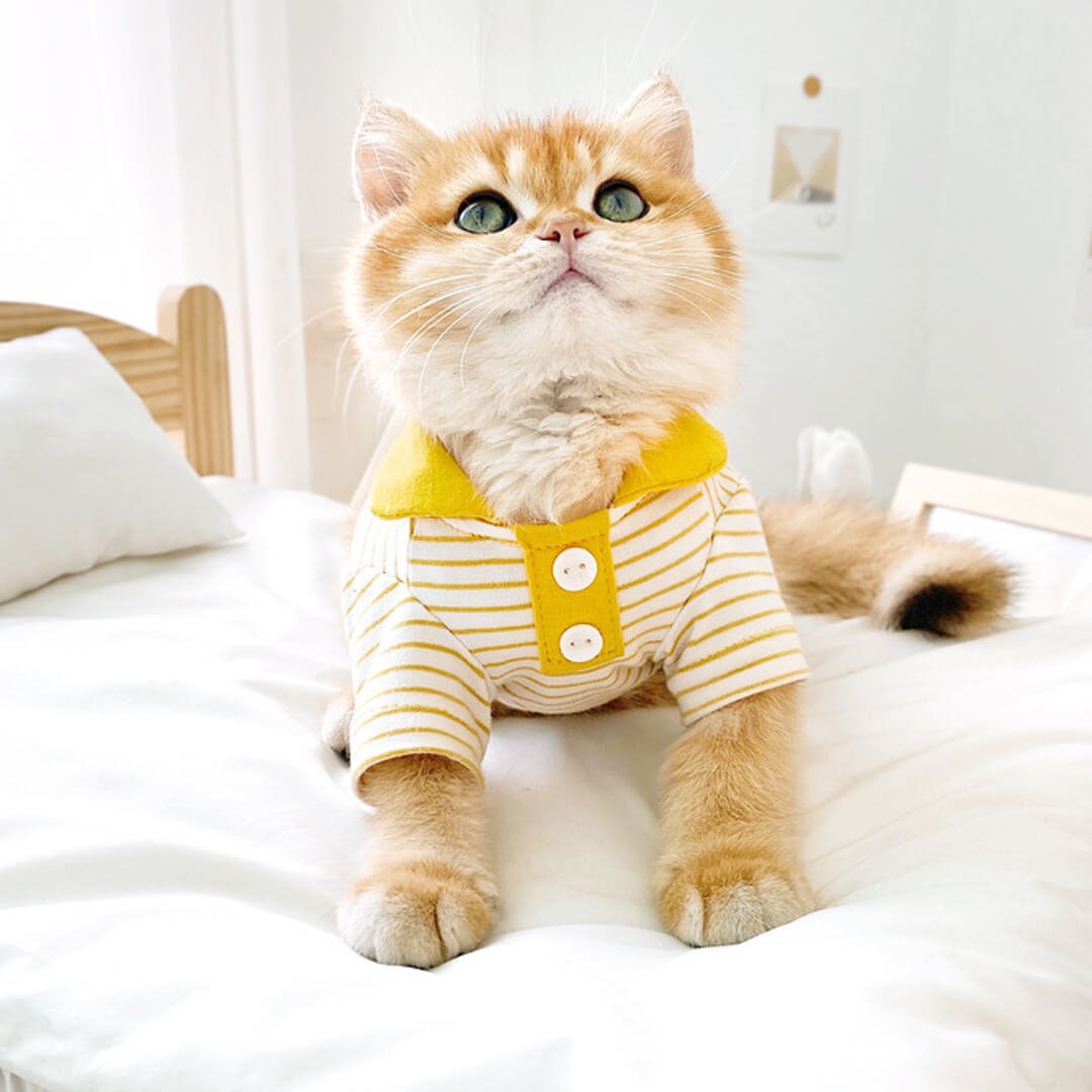 Gentlemeow Cat Polo Shirt - Image 5