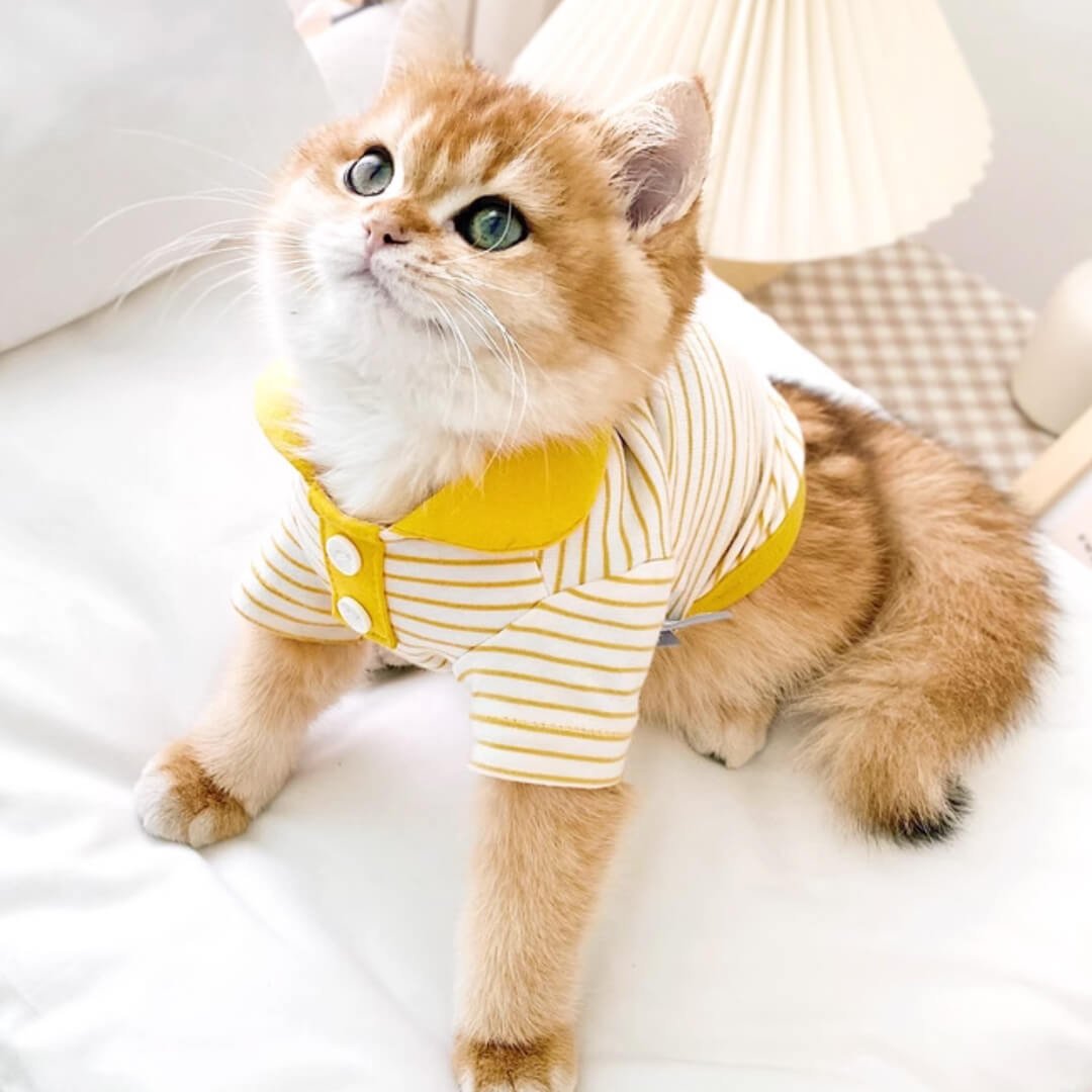 Gentlemeow Cat Polo Shirt - Image 8