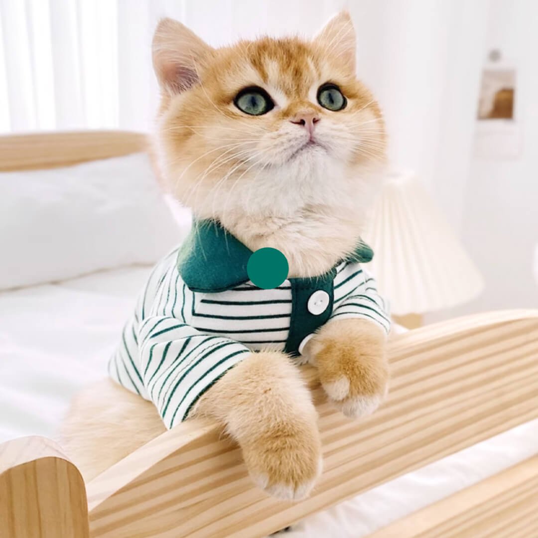 Gentlemeow Cat Polo Shirt - Image 9