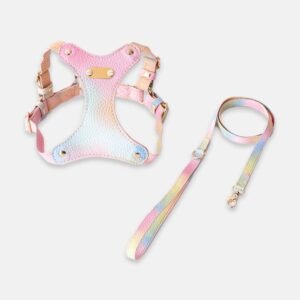 Aurora Cat Harness & Leash Set