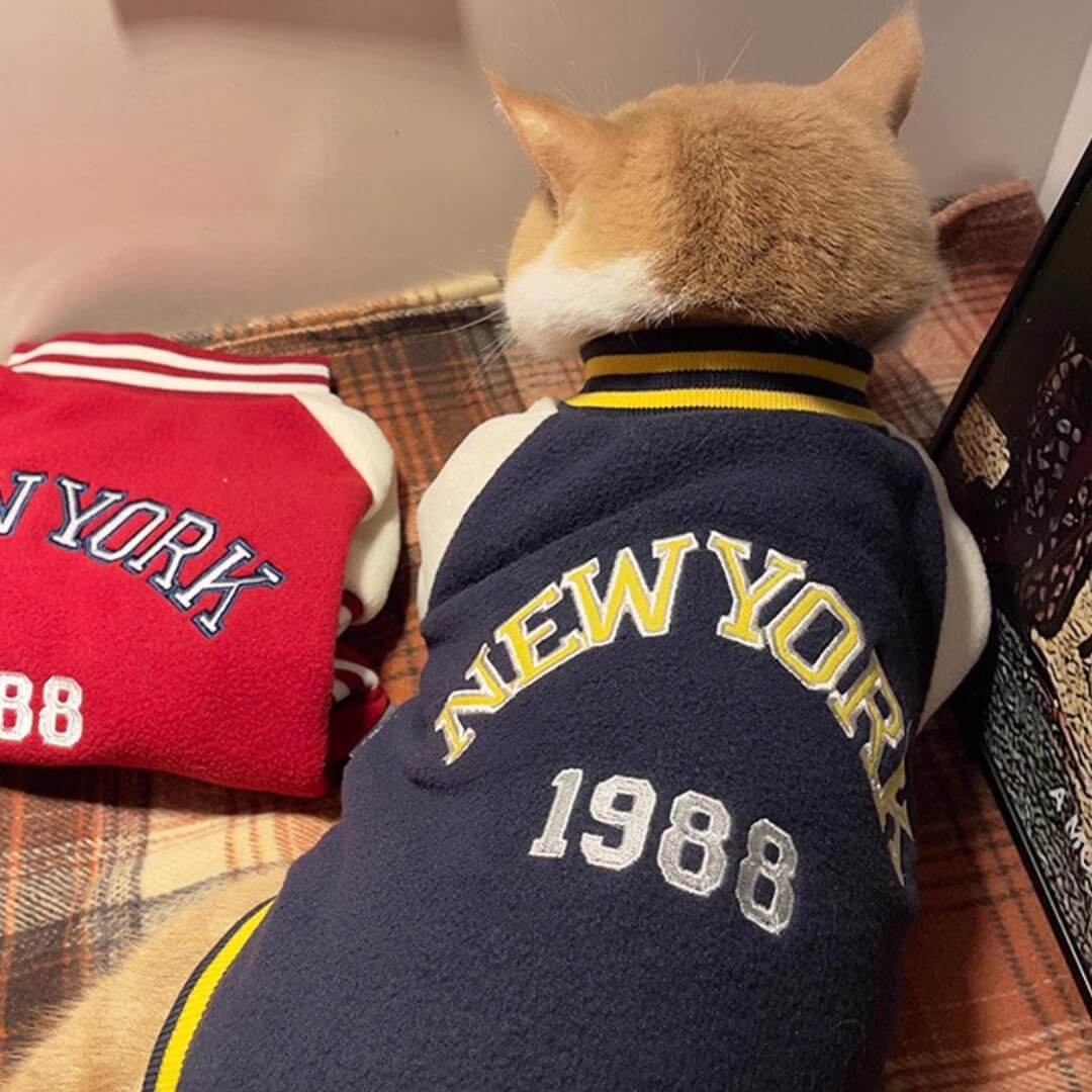 Hypurr Cat Bomber Jacket - Image 3