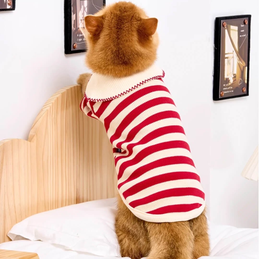 Hypurr Cat Shirt - Image 9