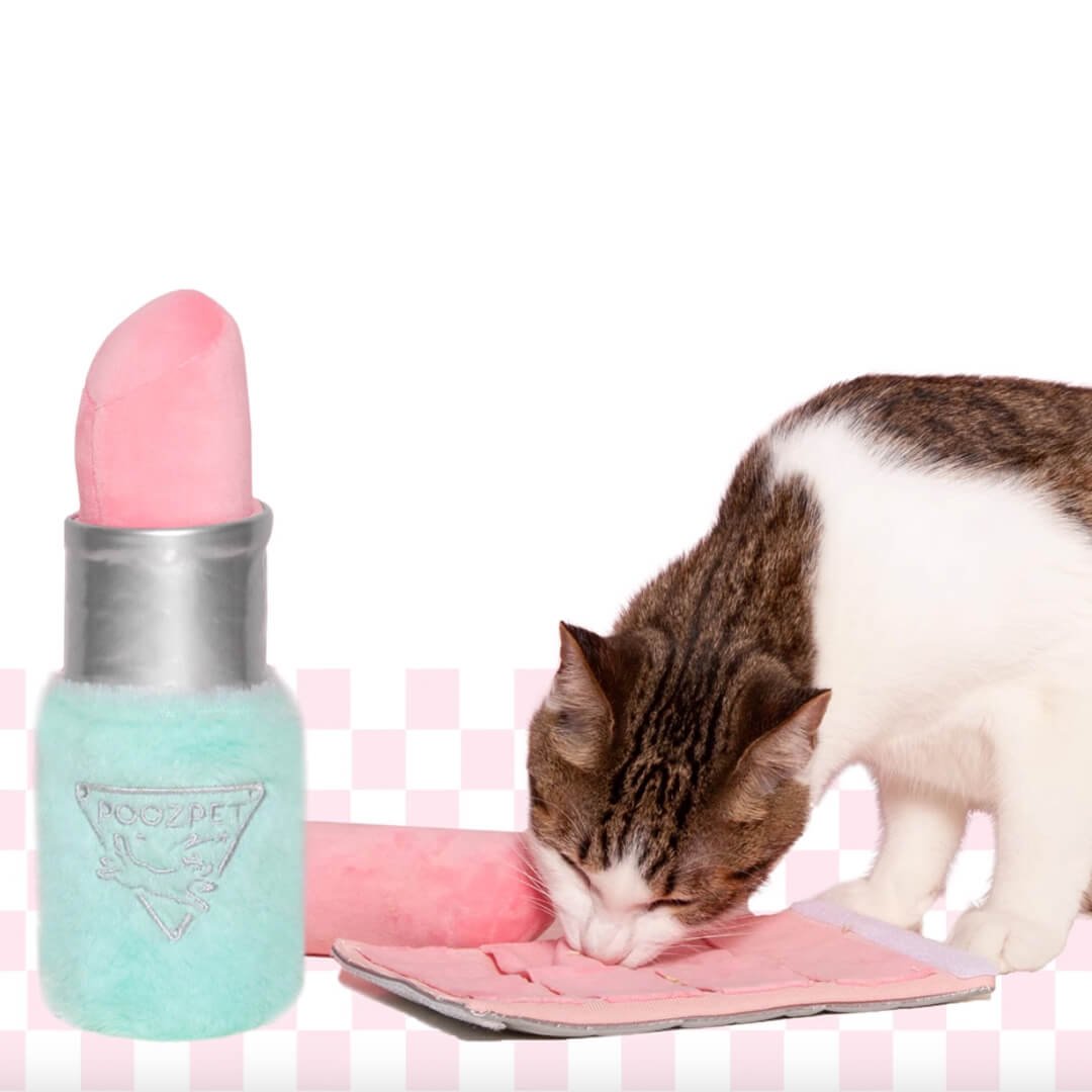 Lipstick Snuffle Toy - Image 9
