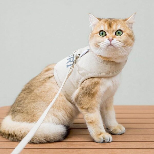 Loki Cat Harness & Leash Set - Image 10
