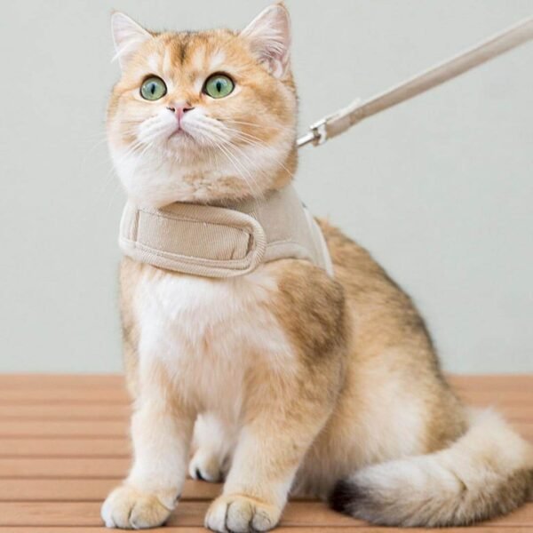 Loki Cat Harness & Leash Set - Image 4