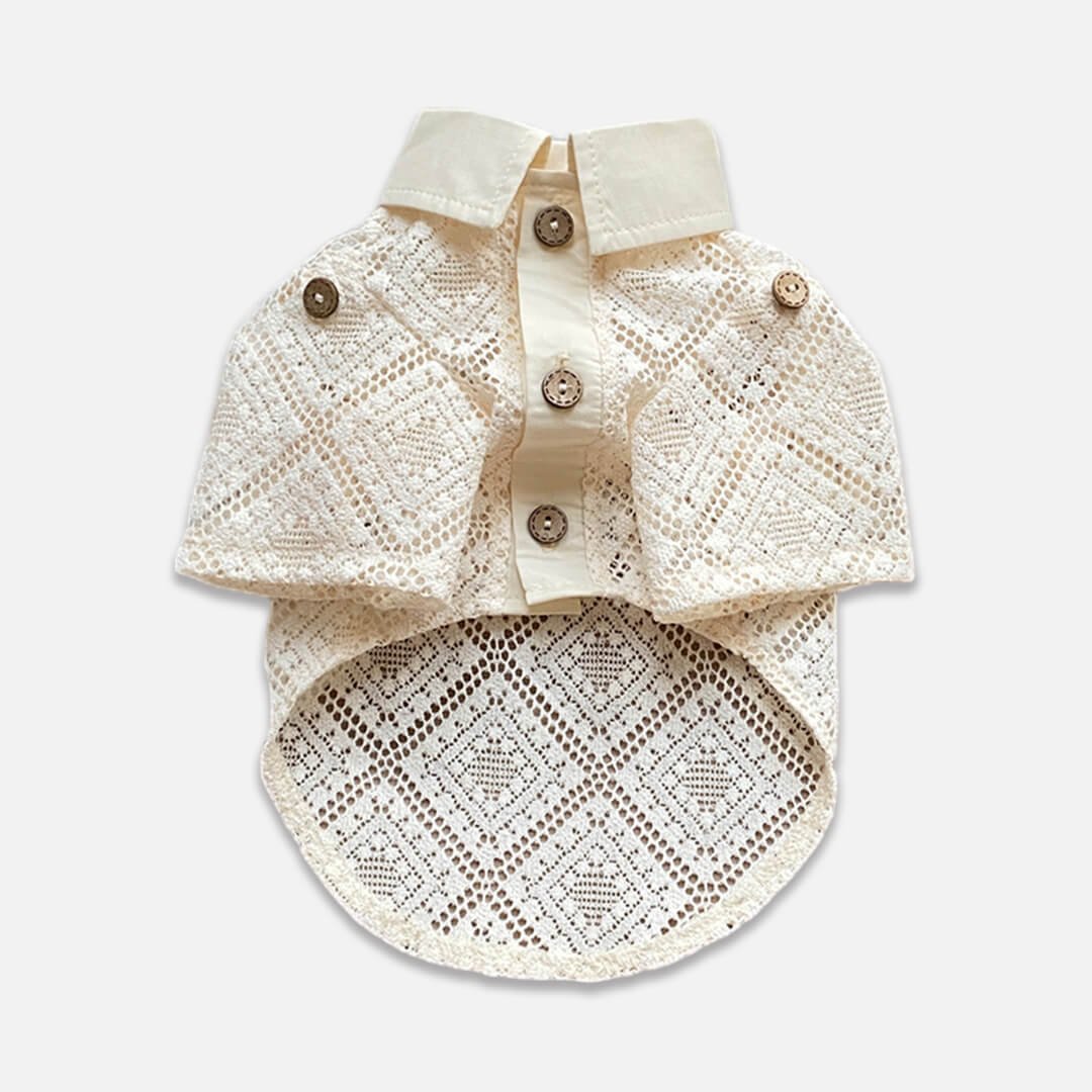 Napili Lace Cat Shirt