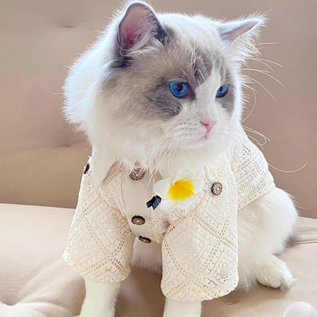 Napili Lace Cat Shirt - Image 5