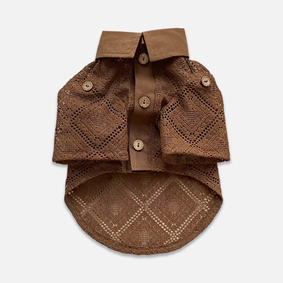 Napili Lace Cat Shirt - Image 2