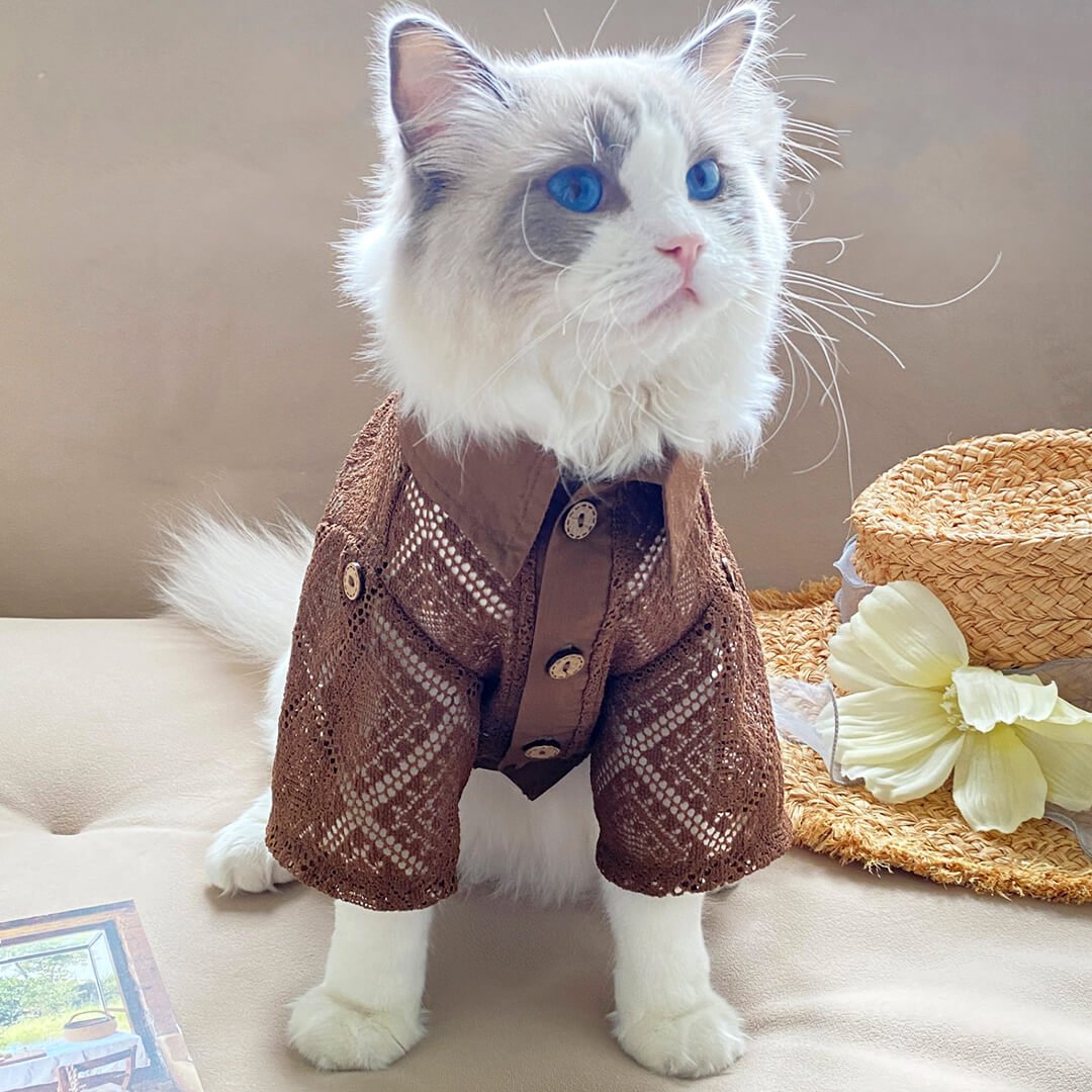 Napili Lace Cat Shirt - Image 9