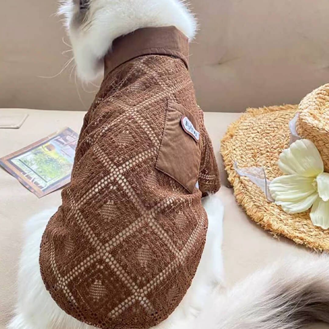 Napili Lace Cat Shirt - Image 4