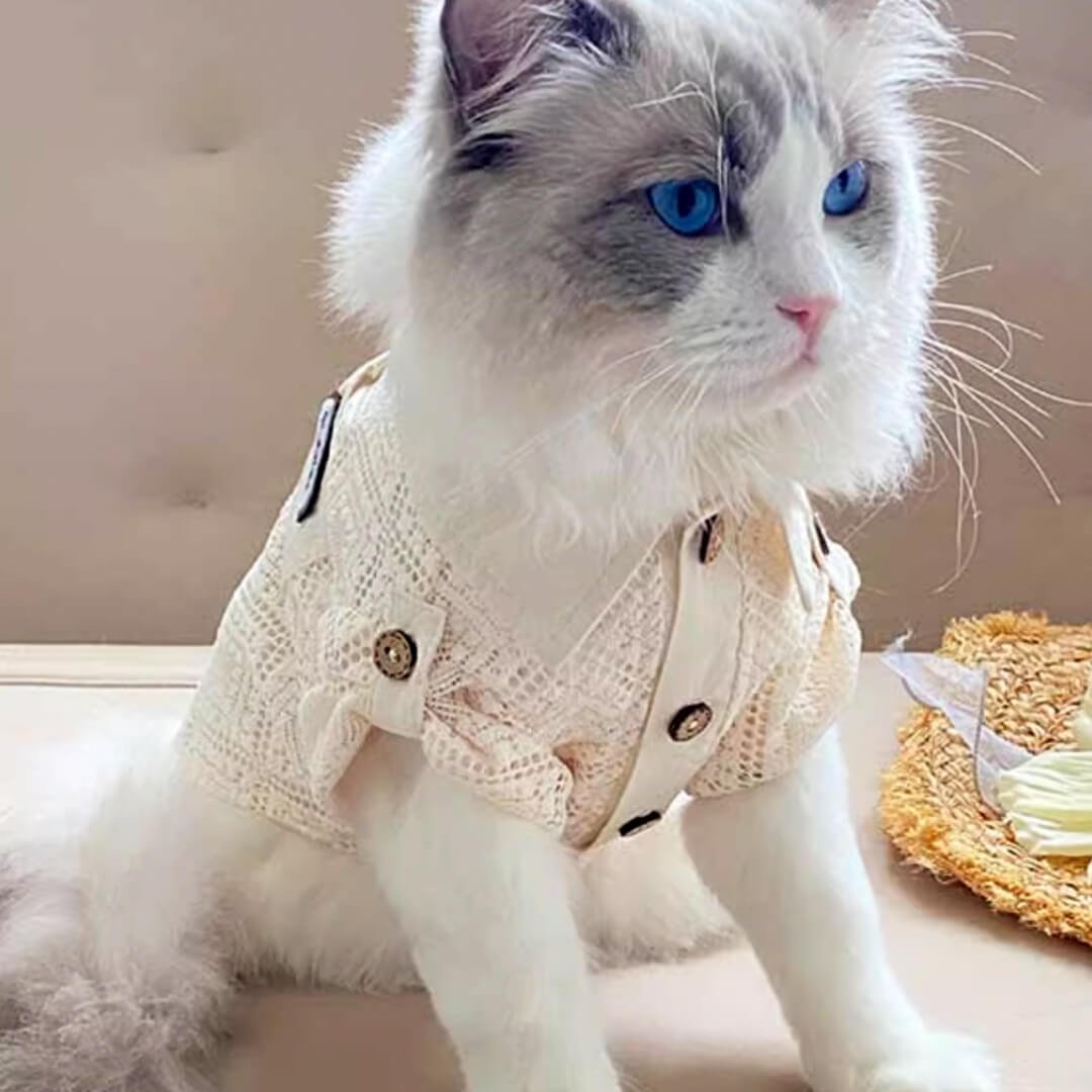 Napili Lace Cat Shirt - Image 6