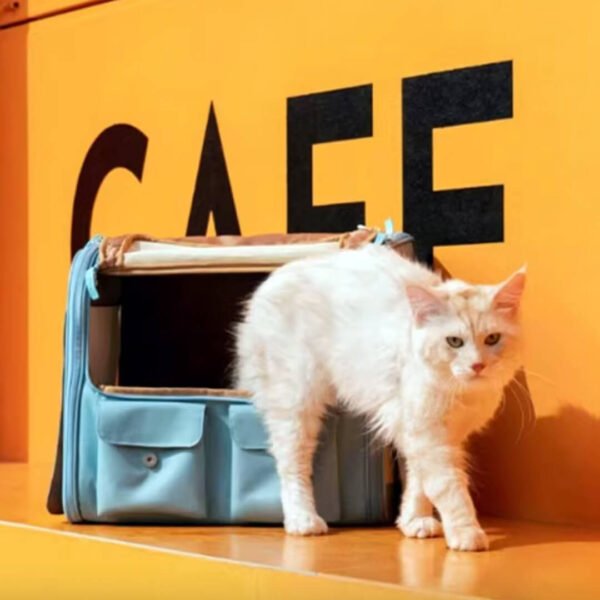 PawsHolic Cat Backpack - Image 3