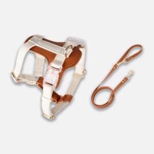 Phoenix Cat Harness & Leash Set