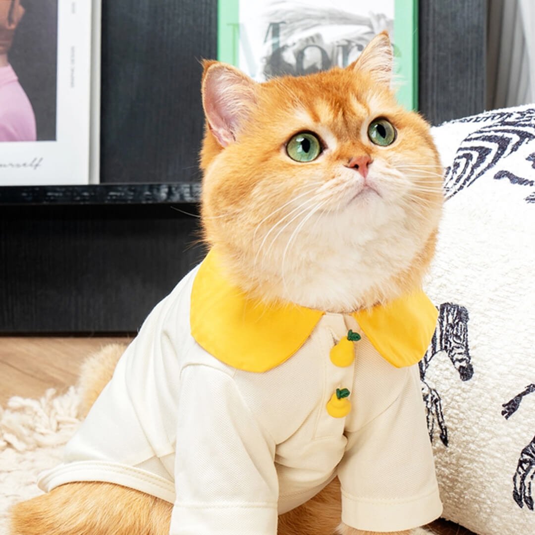 Poppy Cat Shirt - Image 2