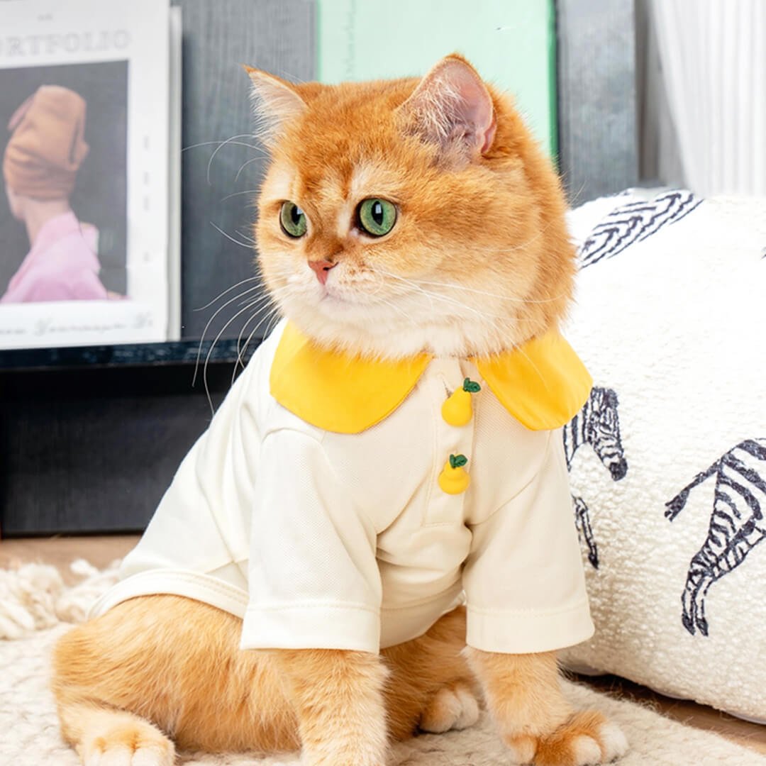 Poppy Cat Shirt - Image 10