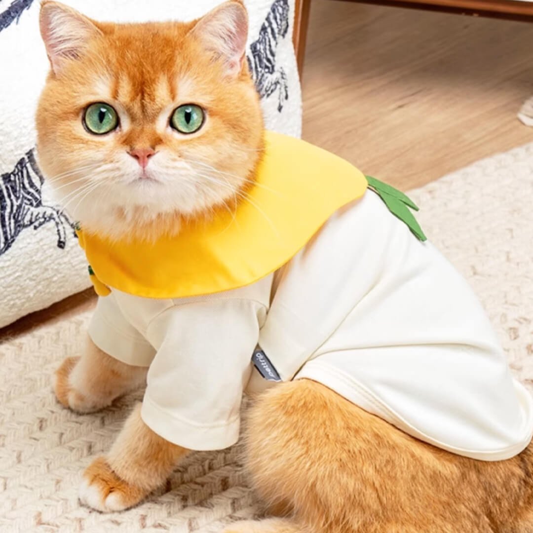 Poppy Cat Shirt - Image 8