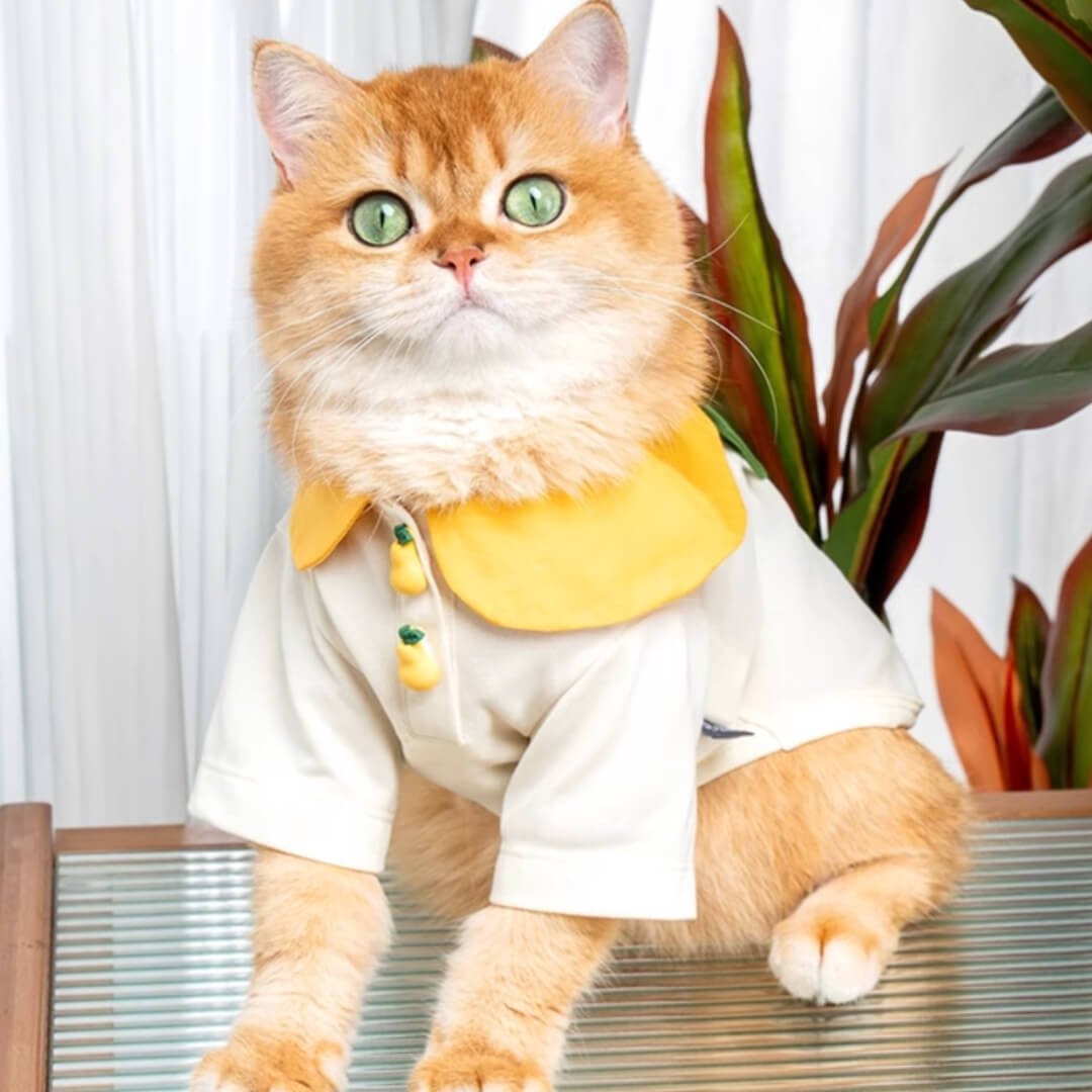 Poppy Cat Shirt - Image 6